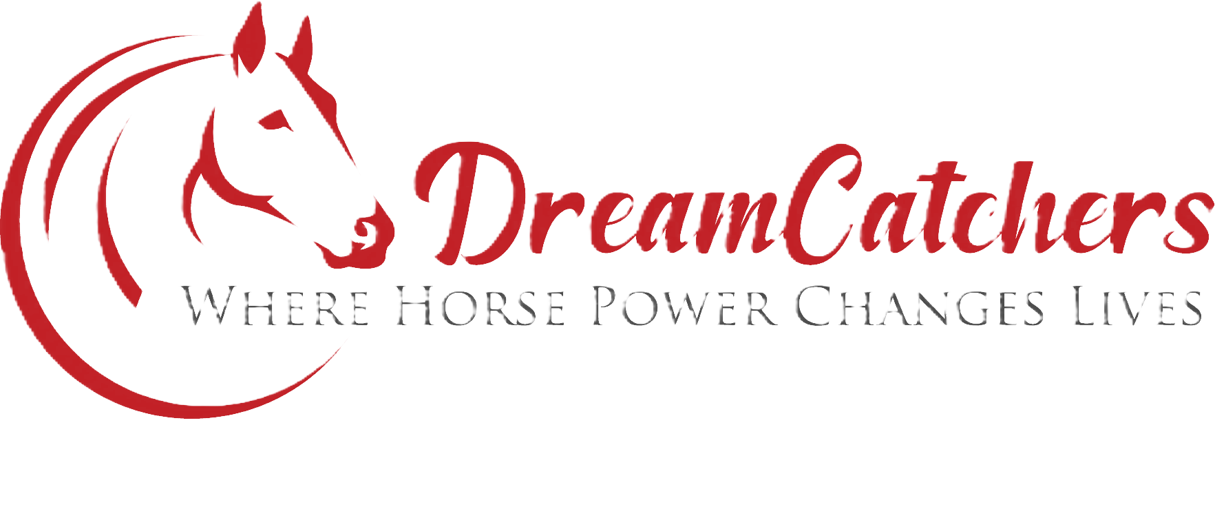 Upload Organization Logo